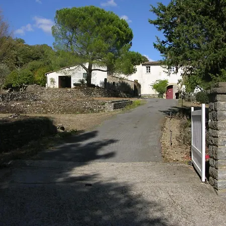 Bed & Breakfast D'hotes - Mas De Louise